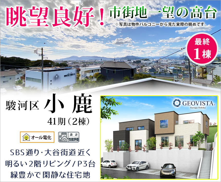 駿河区小鹿41期(2棟)（静岡）