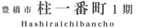 豊橋市柱一番町1期(2棟)（浜松）