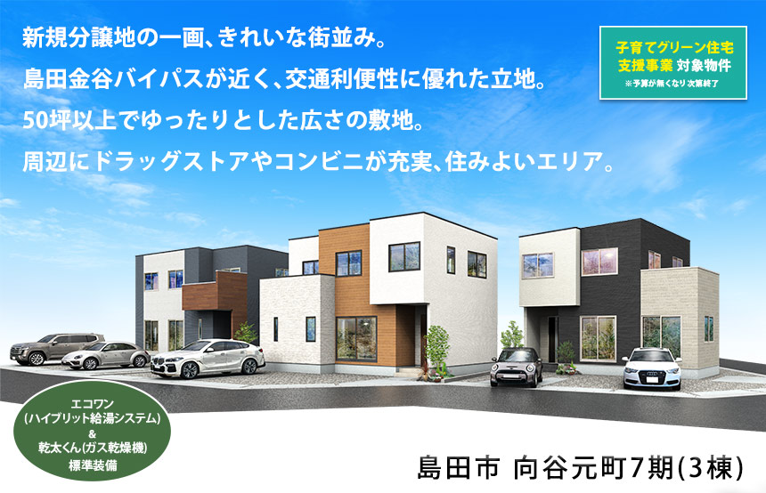 島田市向谷元町7期(3棟)（静岡）