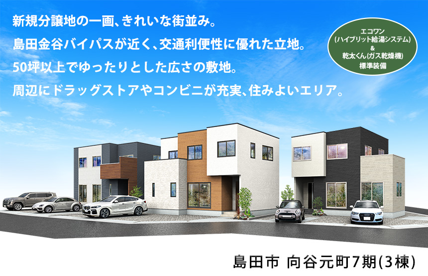 島田市向谷元町7期(3棟)（静岡）
