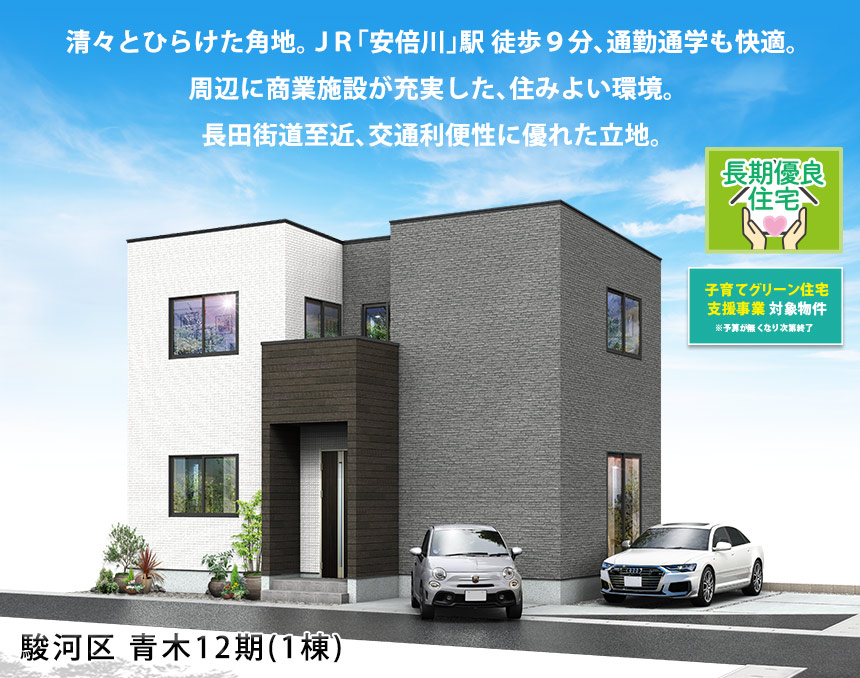 駿河区青木12期(1棟)（静岡）
