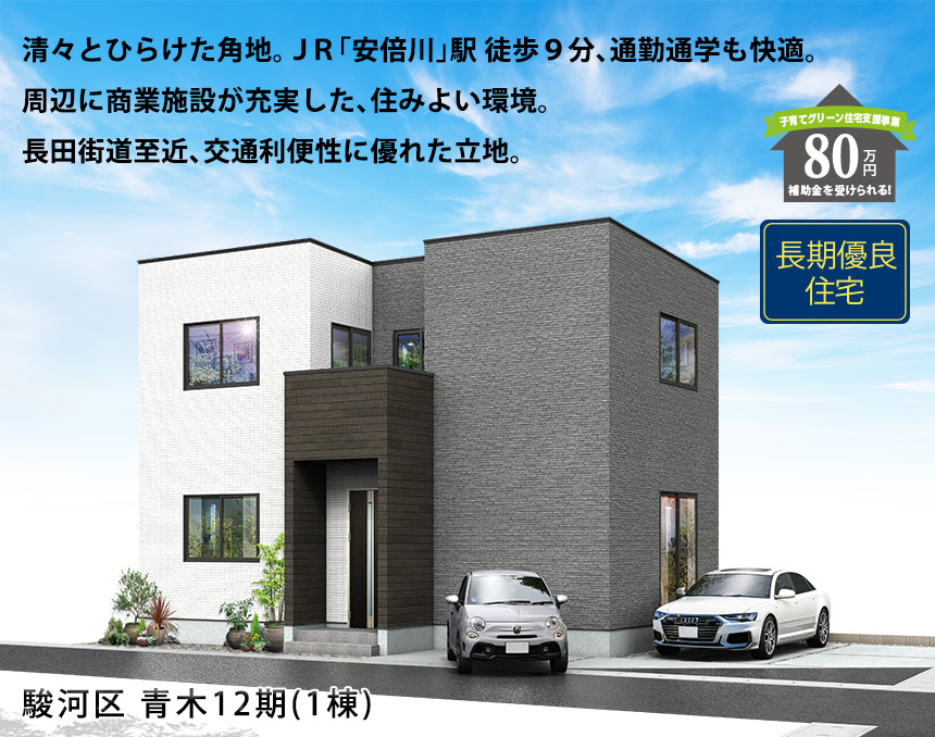 駿河区青木12期(1棟)（静岡）