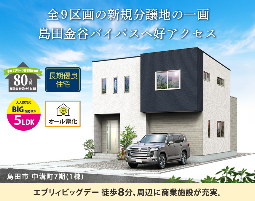 島田市中溝町7期(1棟)（静岡）