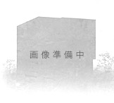 suruga-magrikane5-bs